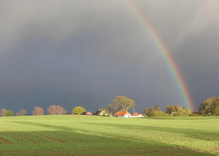 Harre - 300m From The Sea By Interhome